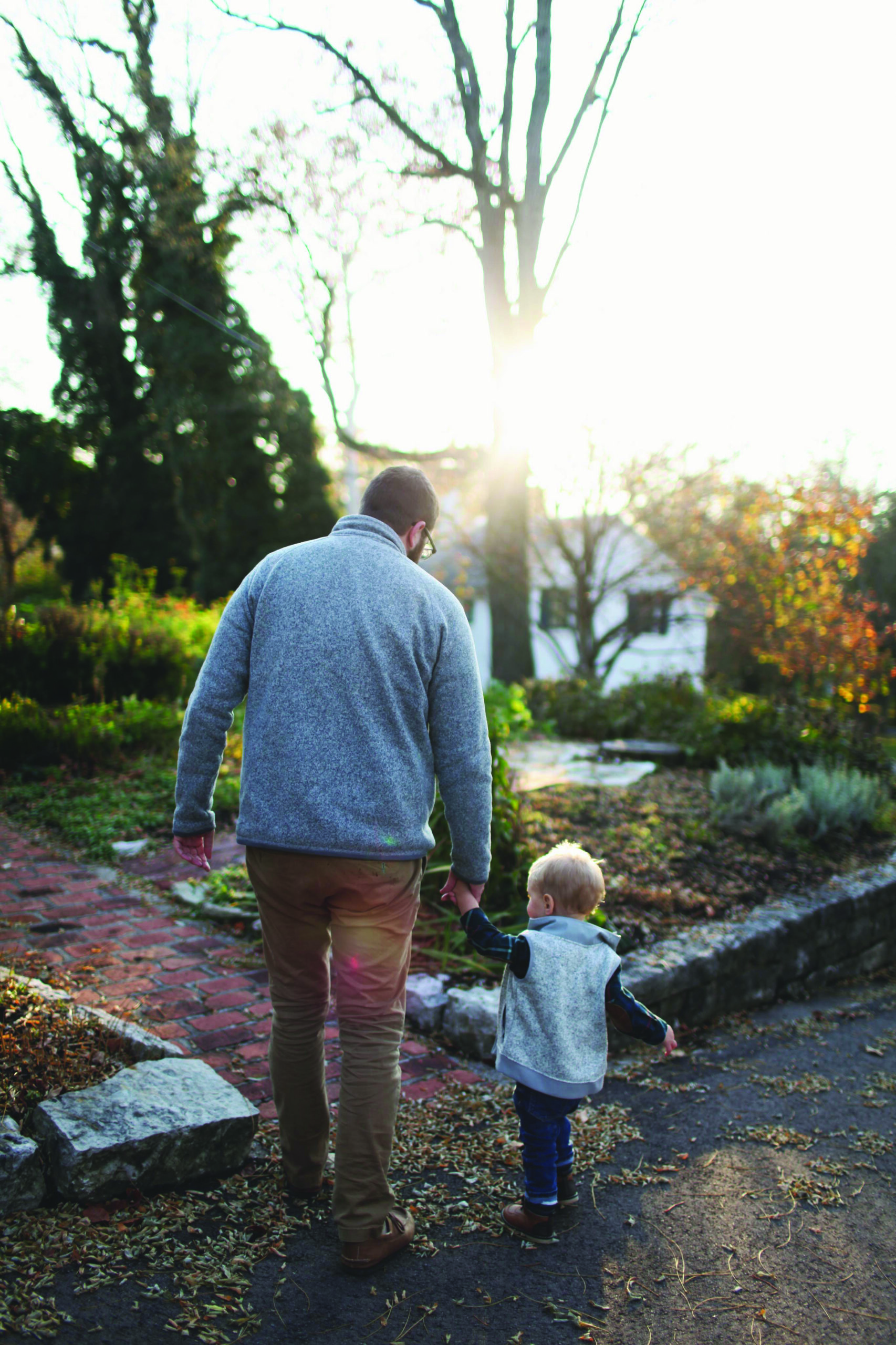 CCLAHD Hotline - CARPLS